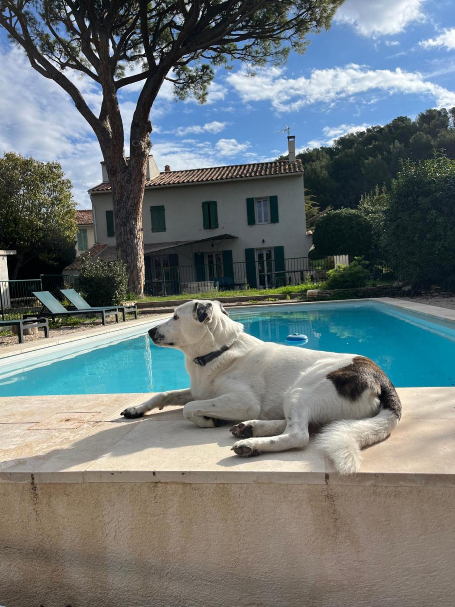 Villavos- Le Bocage Cassis Kültér fotó